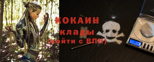 индика Алексин