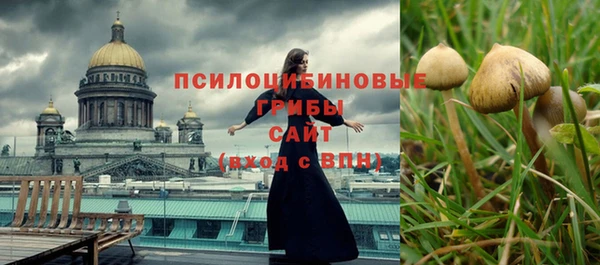 бошки Абаза