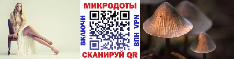 Галлюциногенные грибы Magic Shrooms  Духовщина 